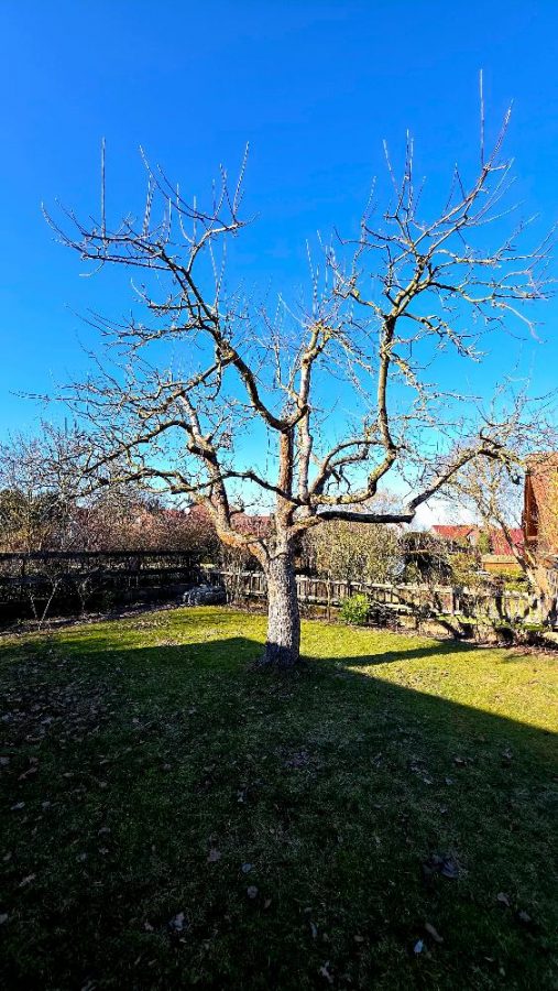 Großzügiges EFH mit großem Grundstück in Schwülper OT Rothemühle, 38179 Schwülper, Haus